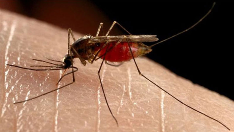 Prskanje protiv komaraca ovog vikenda u Žabarima