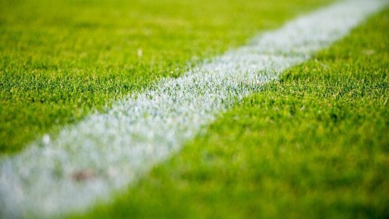 Dve fudbalske utakmice u Požarevcu