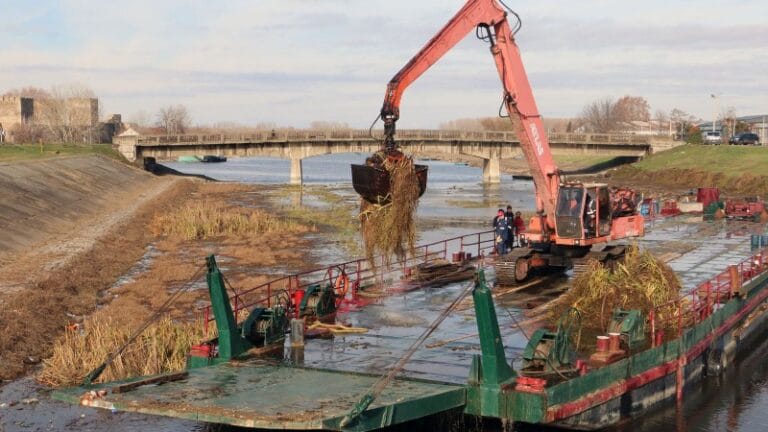 Nastavljeno čišćenje marine u Smederevu