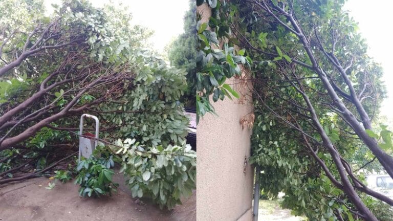 Jako nevreme pogodilo Kostolac