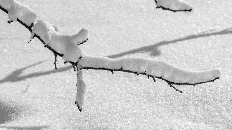 RHMZ: Preporuka da se u četvrtak i petak ne kreće na put u planinske predele