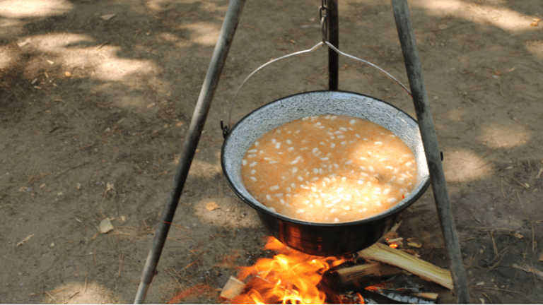 Gradištanac – pasulj u nestajanju