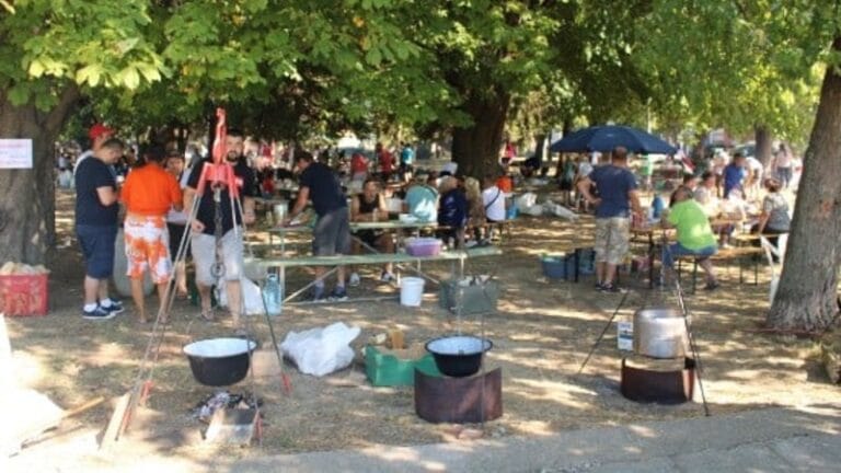 „Gradištanca“ ima u marketima, a nema na njivama