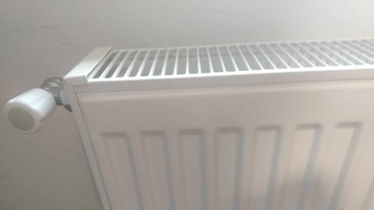 SSP: Grejna sezona počela, pola Požarevca nema grejanje