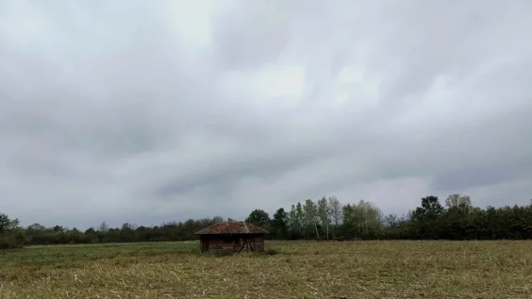 Obustava saobraćaja zbog trke