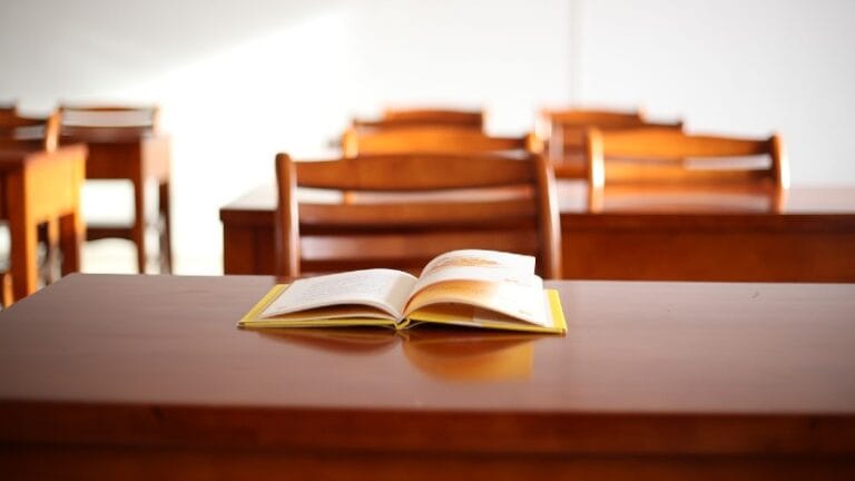 Oglasili se aktivi direktora škola u Požarevcu i Kostolcu