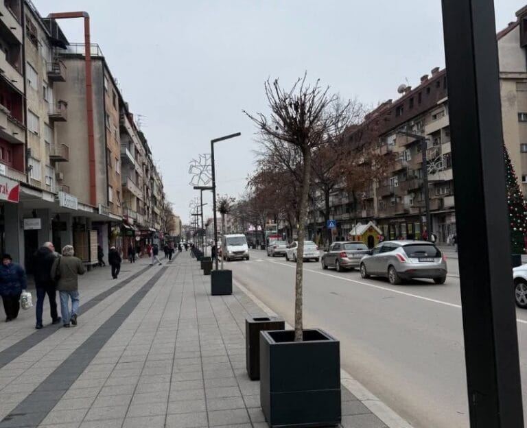 SSP: Drveće u saksijama u Tabačkoj čaršiji plaćeno 10 puta skuplje
