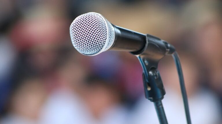 Ceca nastupa u Požarevcu krajem decembra