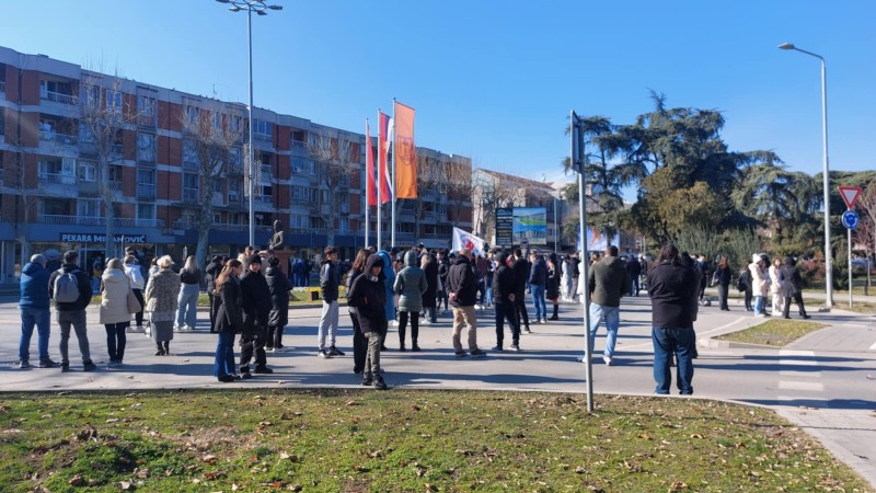 Protest Suncani park 7. februar