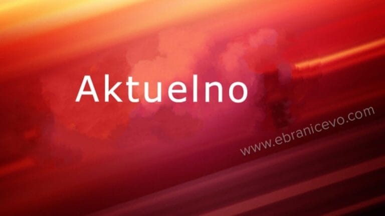 Petočlana porodica na auto-putu automobilom naletela na krdo divljih svinja