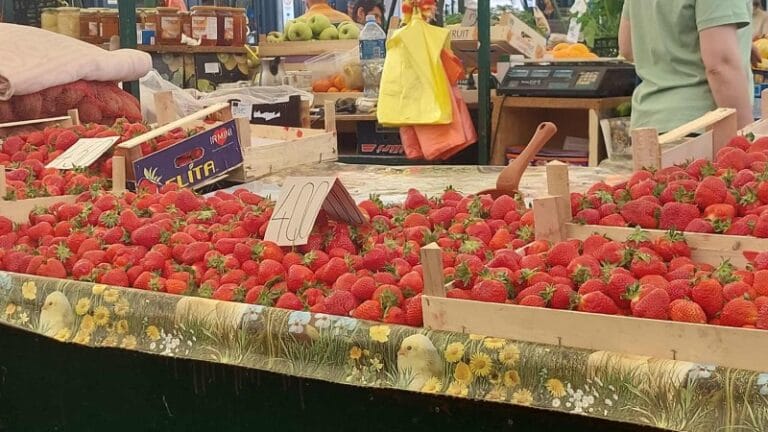 Jagode u Požarevcu – 400 dinara za kilogram