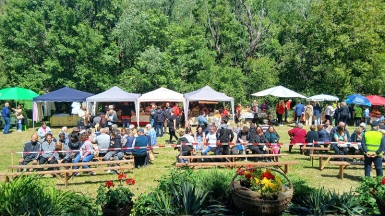 Organizovan Sabor bačijara u Stamnici – nagrađeni najbolji