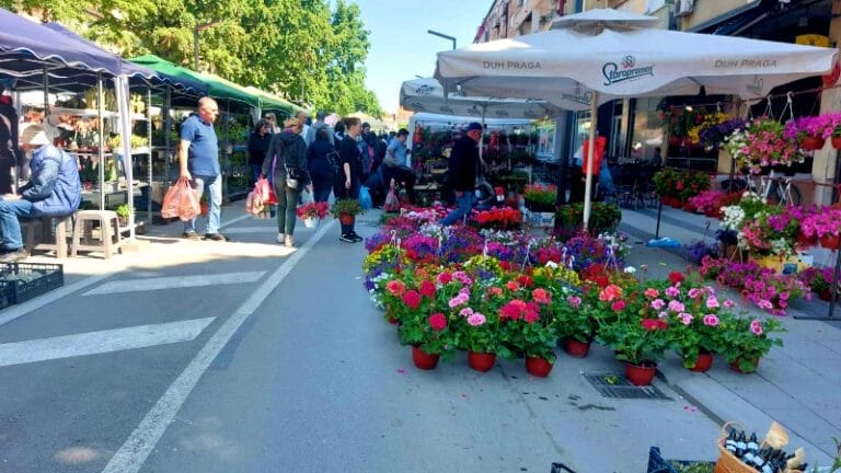 Otvoren Festival cveća u Požarevcu (FOTO)