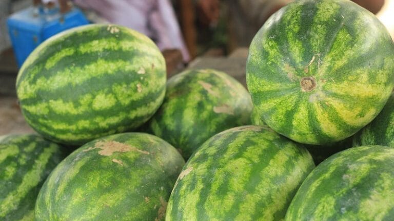 Pre podnošenja zahteva za zauzeće javne površine izabrati lokaciju
