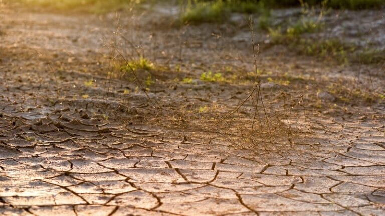 Hidrolog: Nastavlja se sušni period