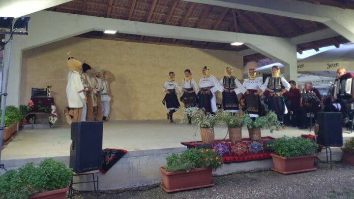 Dani Petra Dobrnjca1