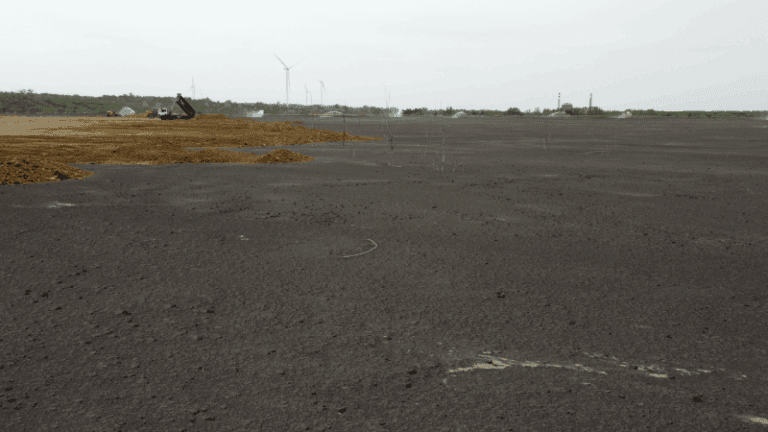 EPS: Hitne mere za sprečavanje razvejavanja pepela