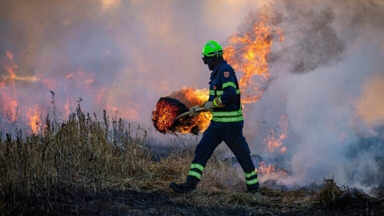 U Podunavskom okrugu manje požara