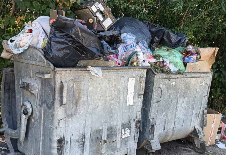 SSP: I ovog leta Požarevac u smeću