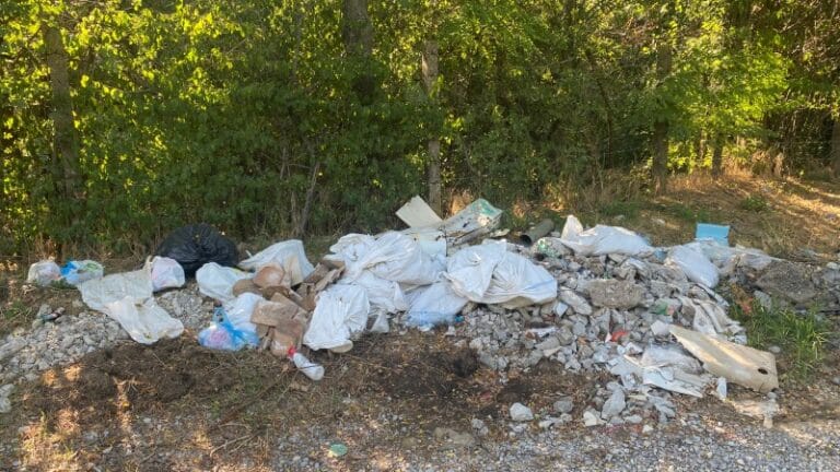 Volonterska akcija čišćenja u Požarevcu