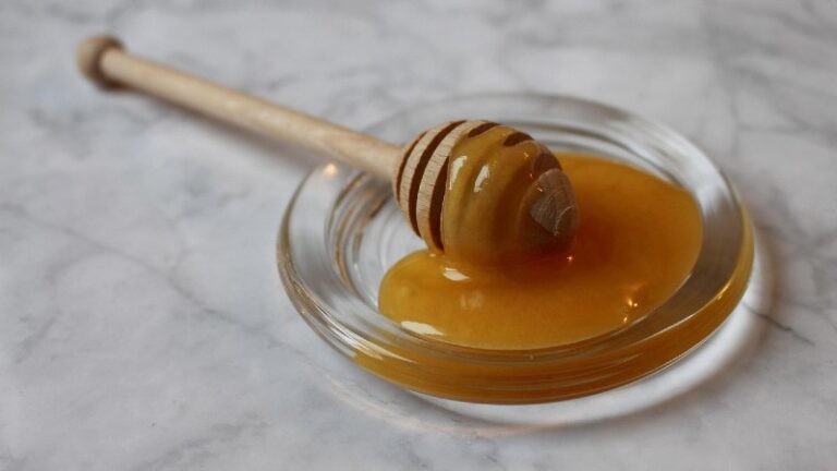 Manifestacija „Med – izvor zdravlja“ u Petrovcu