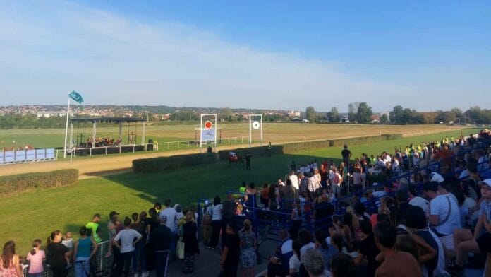 Polufinale višeboja