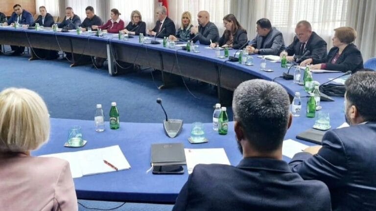 Janošević izabran za zamenika predsednika Koordinacije nacionalnih saveta nacionalnih manjina