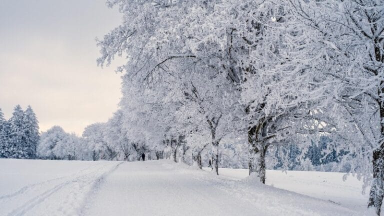 Deca iz OŠ u Požarevcu bila zaglavljena pri povratku s ekskurzije na Divčibarama