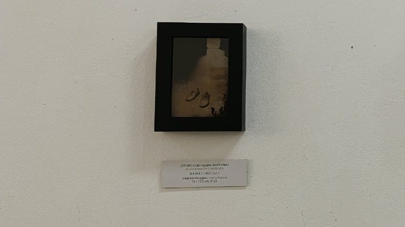 Prva nagrada Bijenale 1