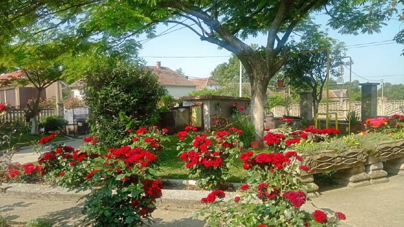 1. mesto Jovic Bozevac 2