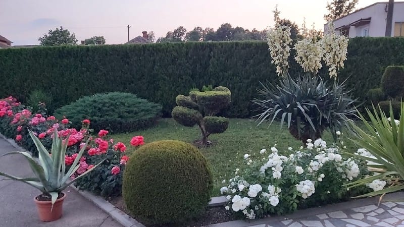 1. pohvala Acic Bubusinac