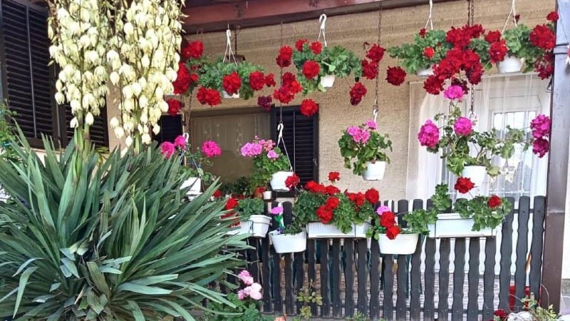 3. pohvala Pavlovic Bubusinac