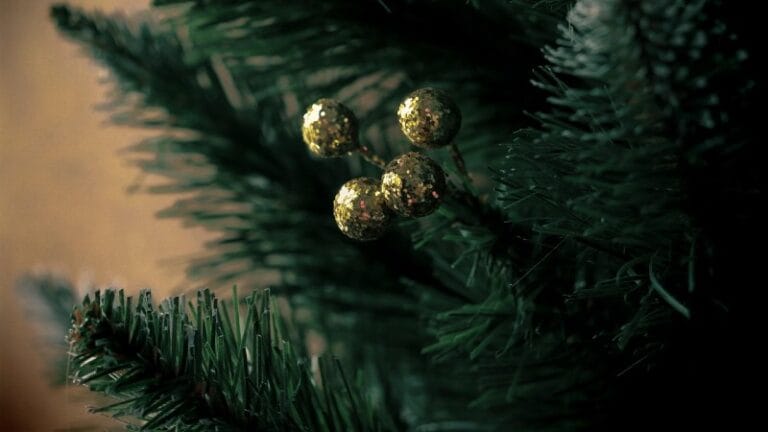 Doneta odluka o tome gde će se prodavati novogodišnje jelke