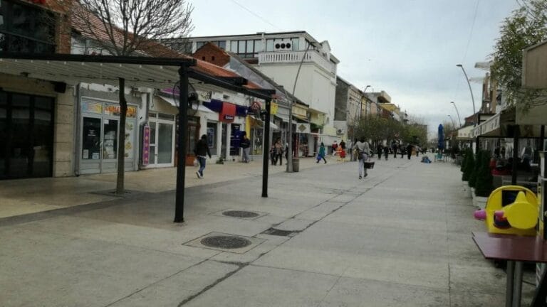 Znameniti Palančani koji su menjali tok istorije