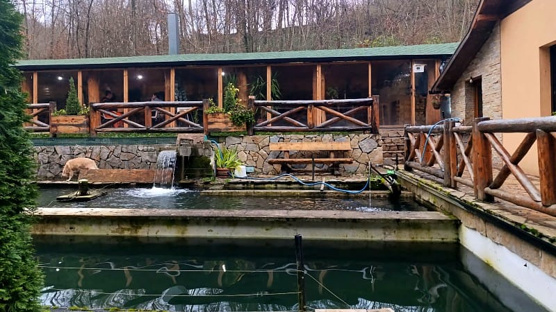 Gastro turizam kao šansa za razvoj Kučeva 4 Suva reka 7