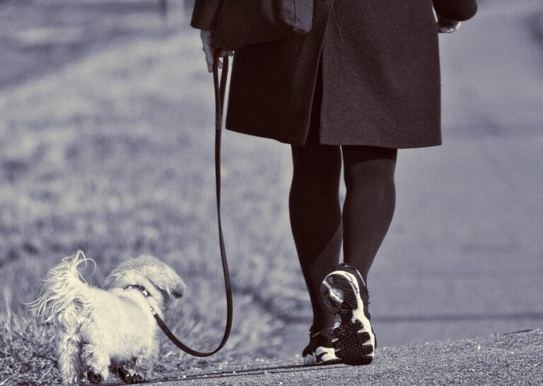 Novo produženje za odlazak žena u starosnu penziju