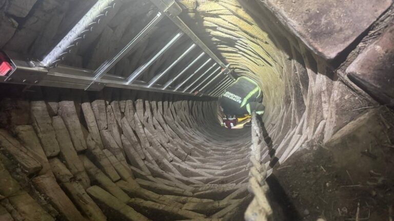 Vatrogasci spasili pse iz bunara