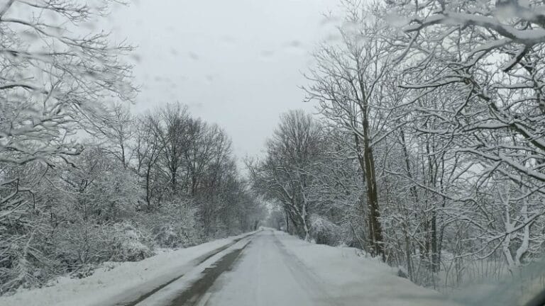 Gde ima magle i leda u Braničevskom i Podunavskom okrugu?