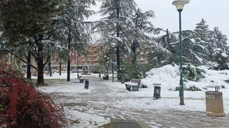 Požarevac pod snegom (FOTO)