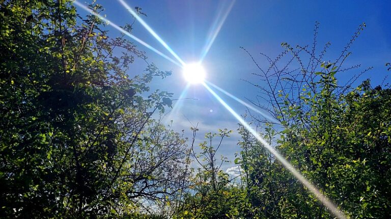 Stiglo nam je proleće