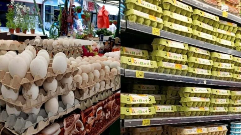 Koliko koštaju jaja na pijacama i u prodavnicama 