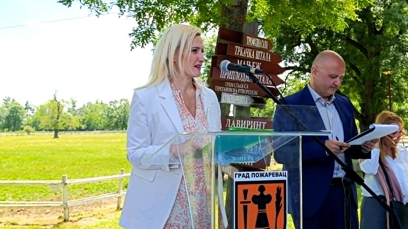 Violeta Jovanovic