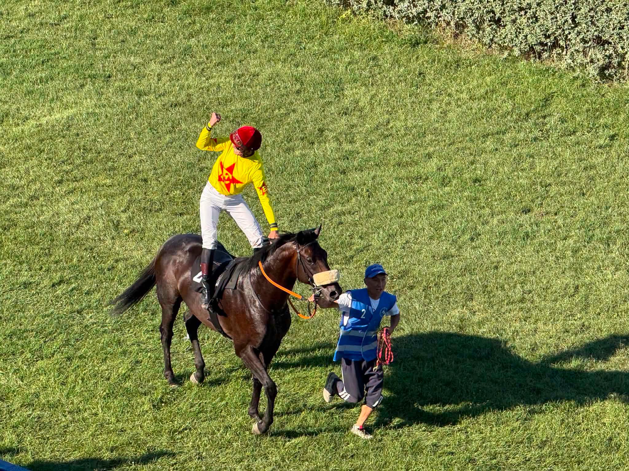 Trkački dan na hipodromu, evo ko je odneo pobedu 1 774088157 2133574137222142 8474435758633536969 n