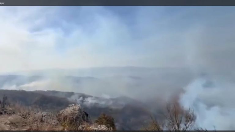 Treći dan gori homoljski vrh Zdravča iznad Laznice (VIDEO) 