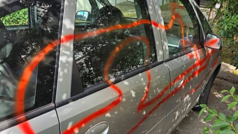 Članici ZLF-a u Smederevu drugi put za godinu dana oštećen auto