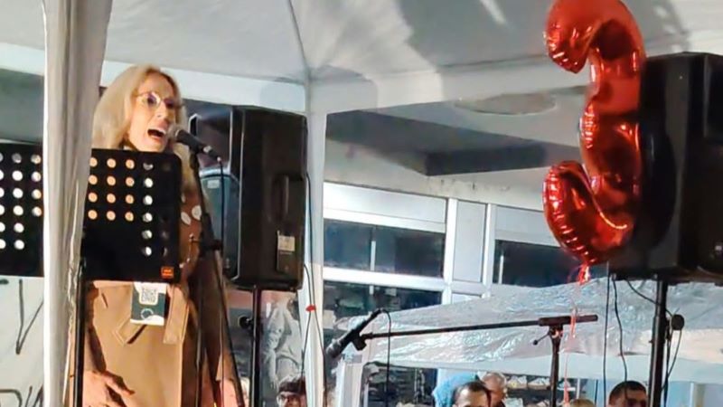 vesna spasojevic brkic 2
